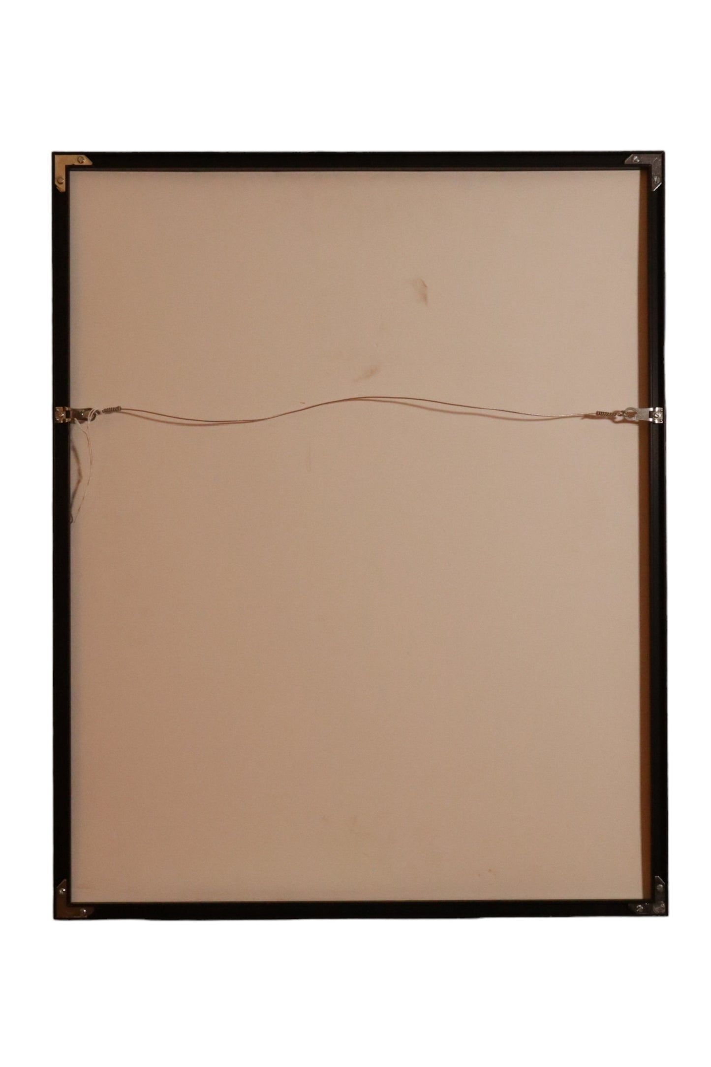 Pearl Jam poster 2009 Christchurch