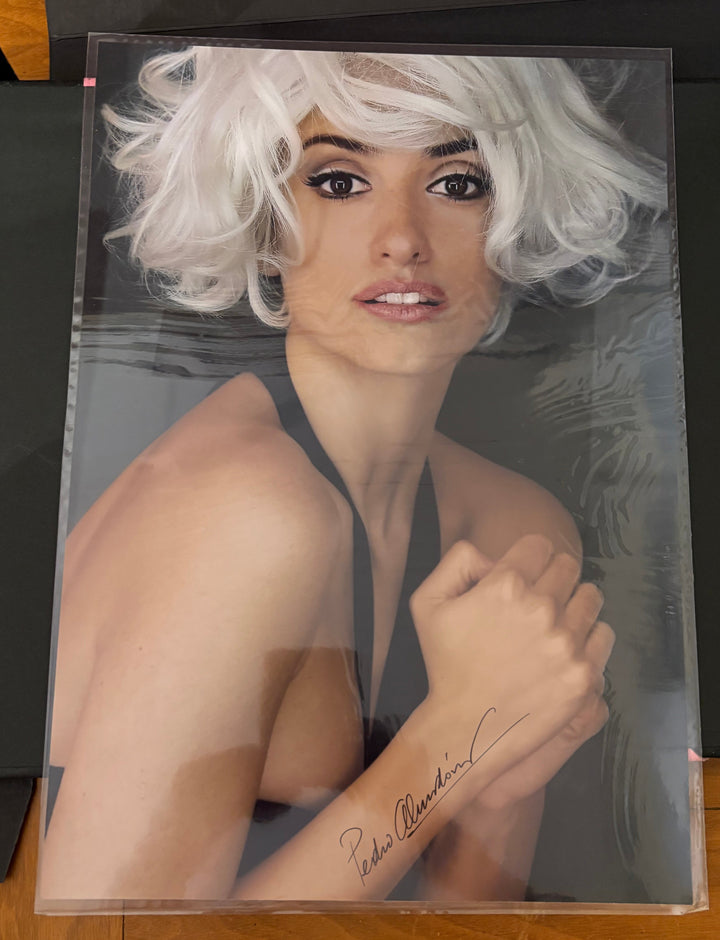 Book-017 The Pedro Almodóvar Archives – Taschen Art Edition 