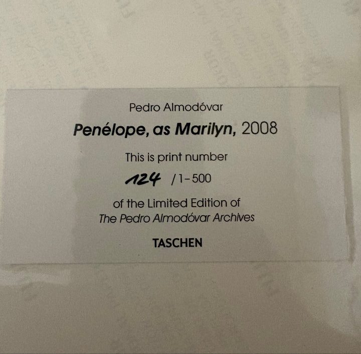 Book-017 The Pedro Almodóvar Archives – Taschen Art Edition 